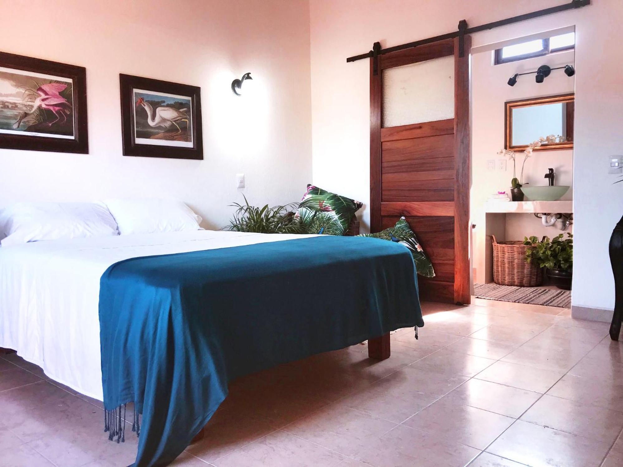 Hotel Casa Botanica à Lo de Marcos Extérieur photo