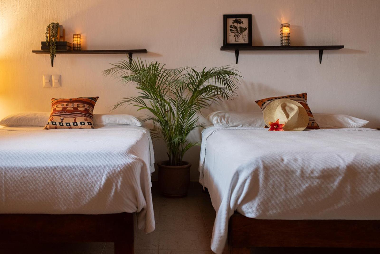 Hotel Casa Botanica à Lo de Marcos Extérieur photo