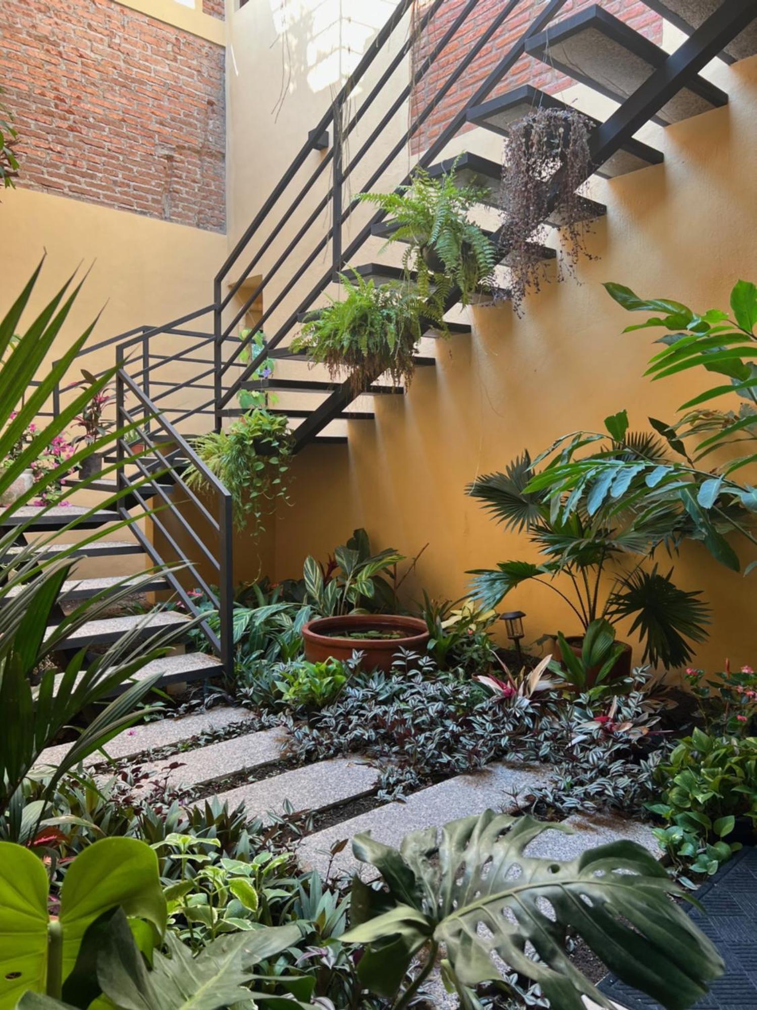 Hotel Casa Botanica à Lo de Marcos Extérieur photo