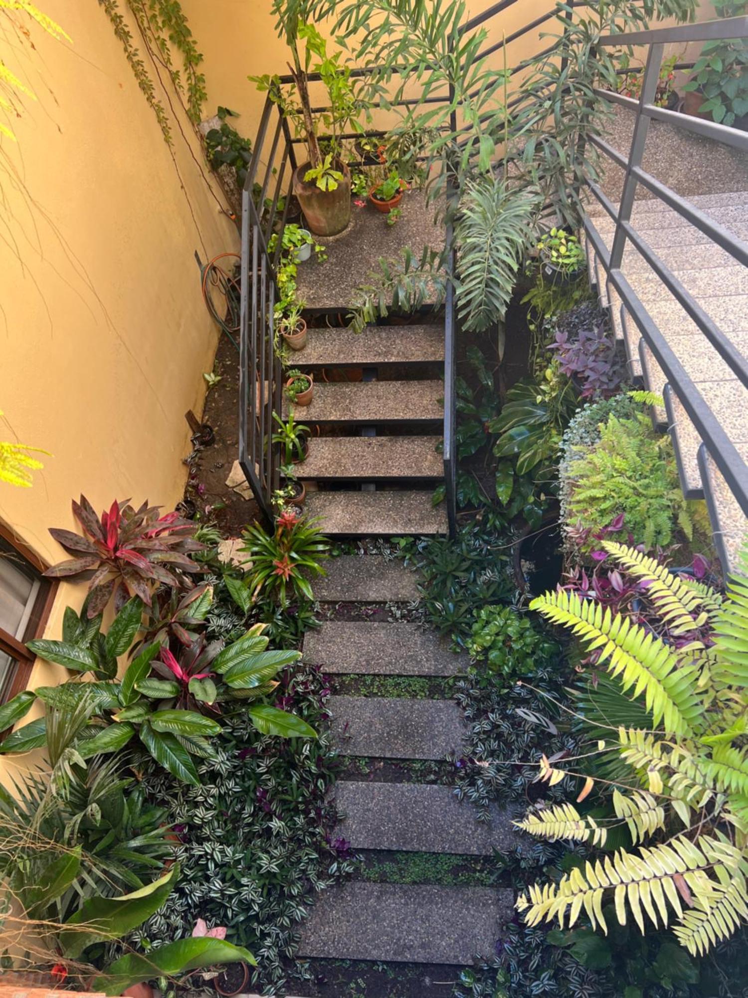 Hotel Casa Botanica à Lo de Marcos Extérieur photo