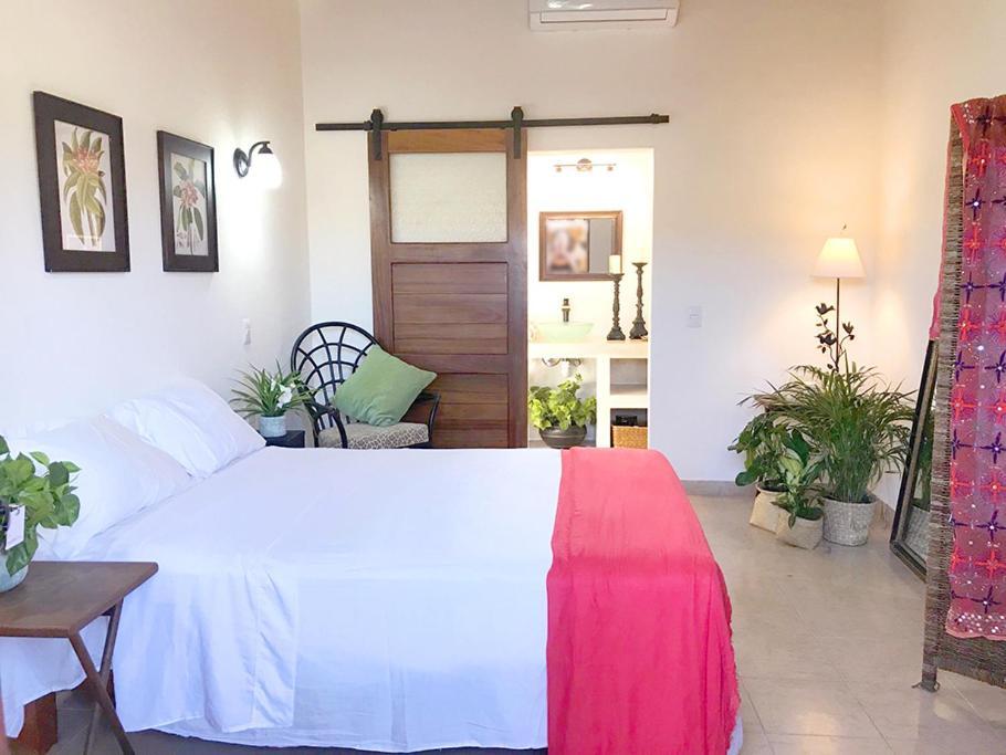 Hotel Casa Botanica à Lo de Marcos Extérieur photo