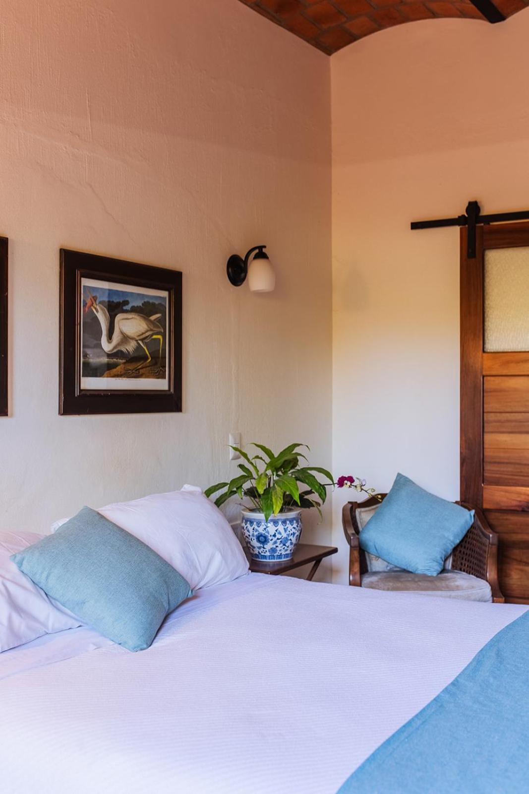 Hotel Casa Botanica à Lo de Marcos Extérieur photo